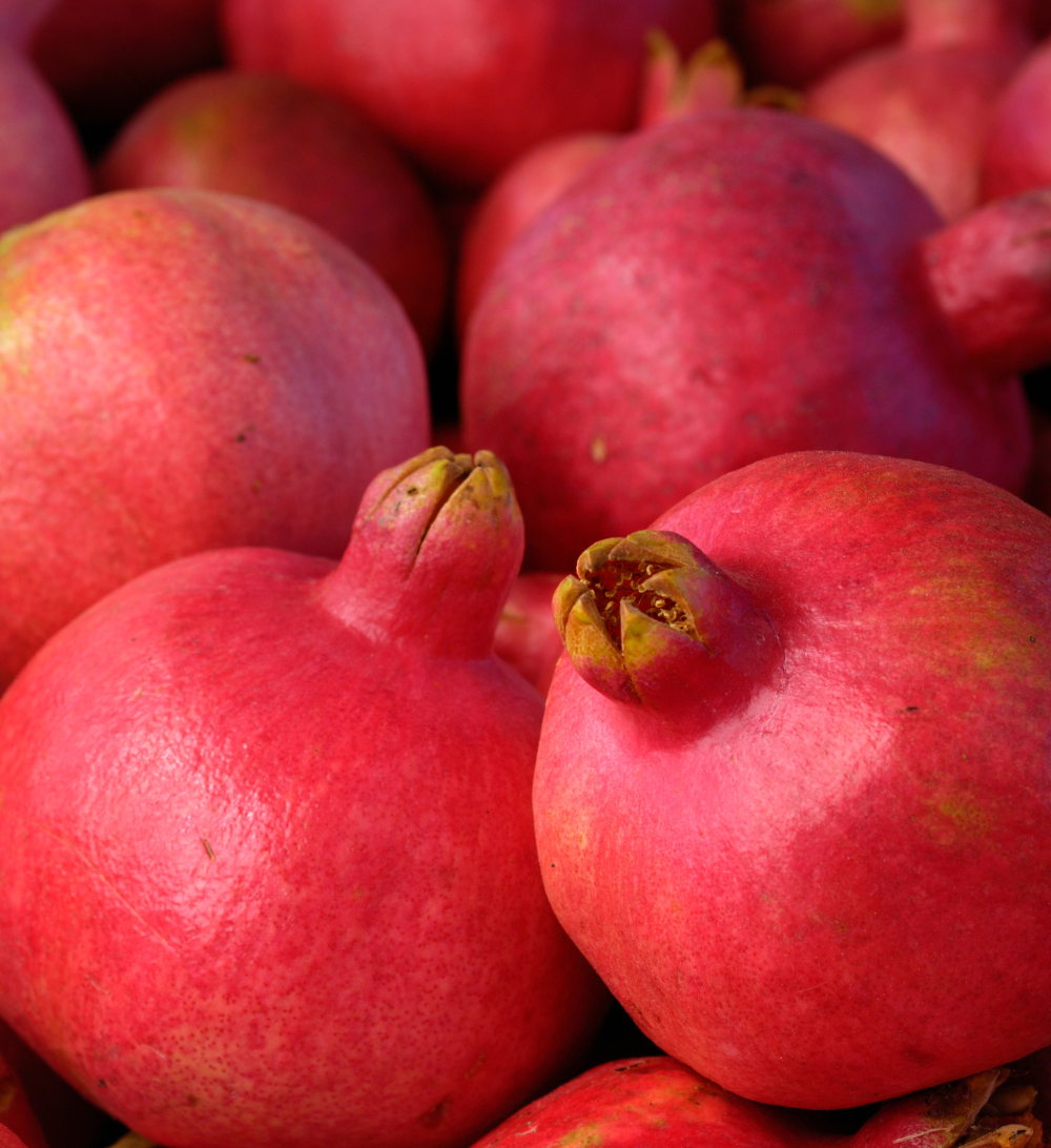 Fresh Pomegranate Export from India
